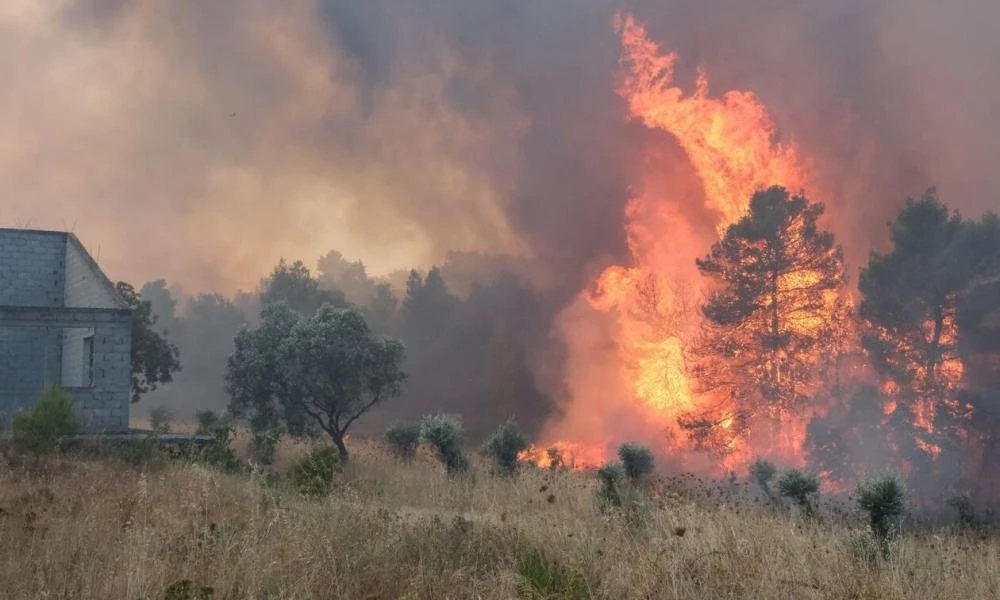 Νέα φωτιά στη Μονεμβασιά - Επιχειρούν εναέρια μέσα